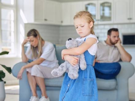  Lisle IL family lawyer